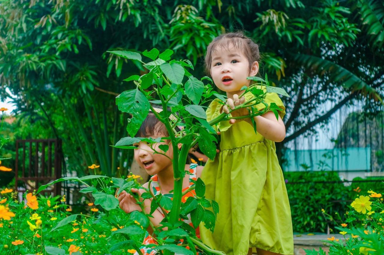 Ninh Binh Mountain Side Homestay & Cafe Eksteriør billede