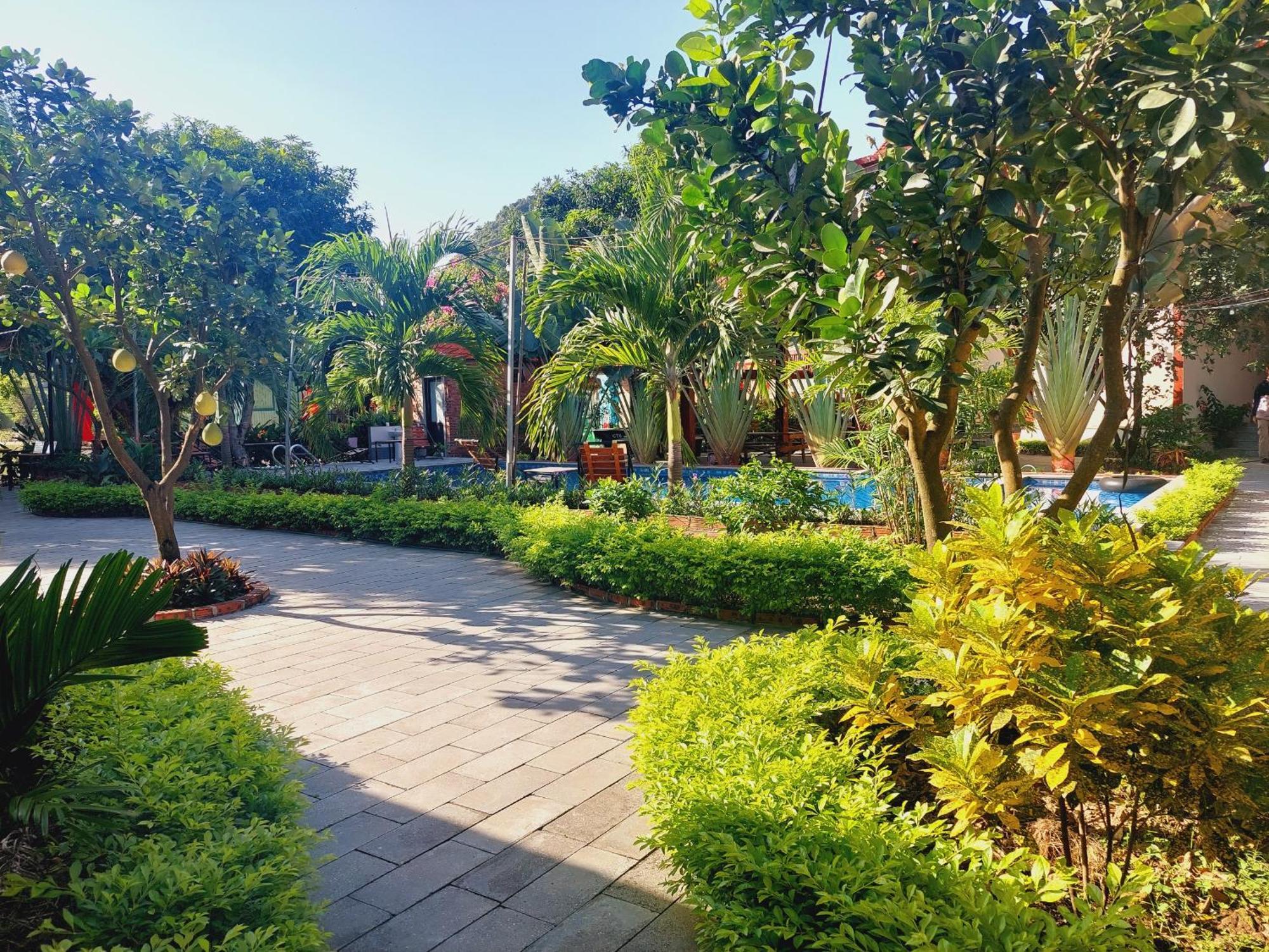Ninh Binh Mountain Side Homestay & Cafe Eksteriør billede