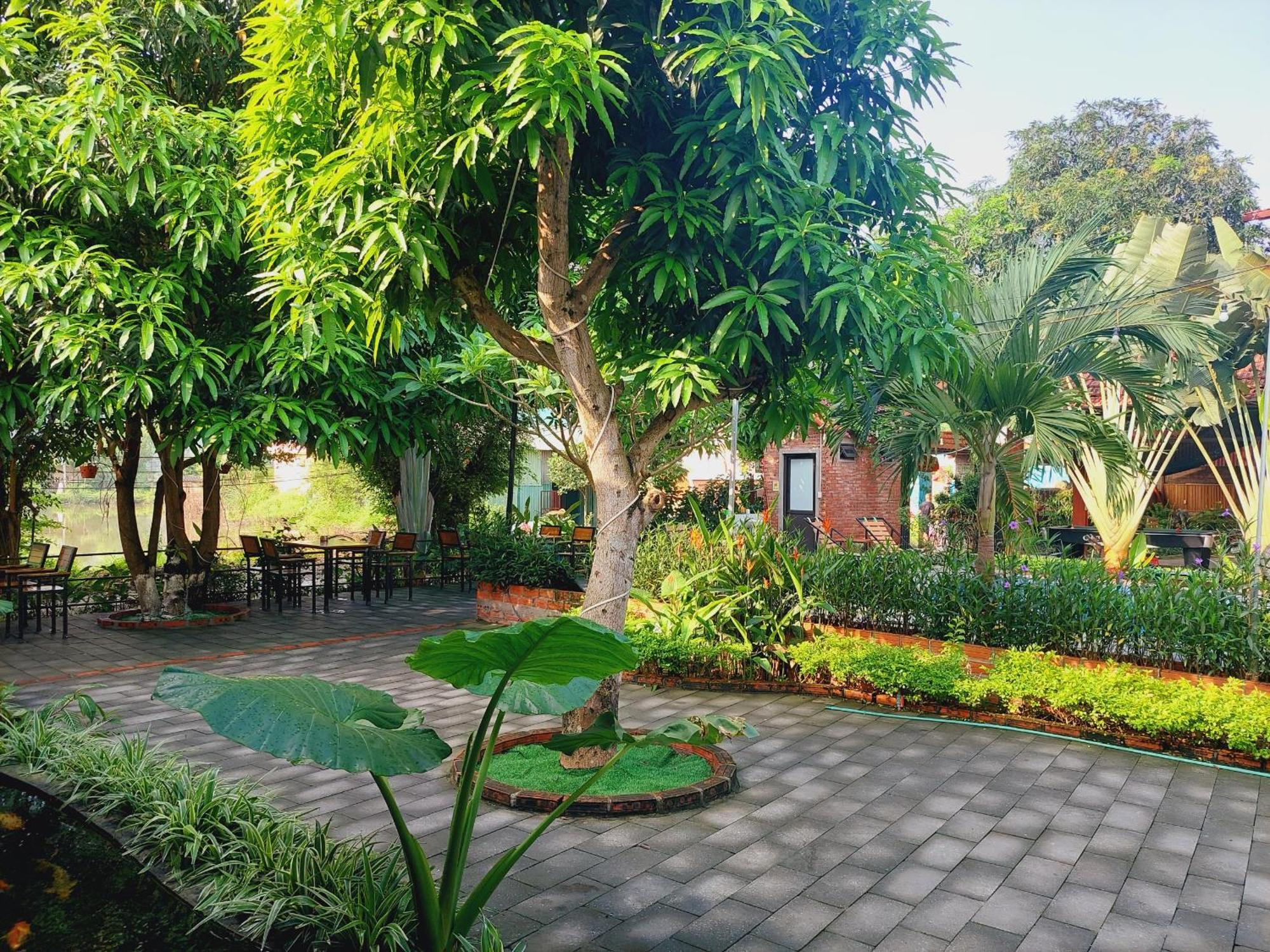 Ninh Binh Mountain Side Homestay & Cafe Eksteriør billede
