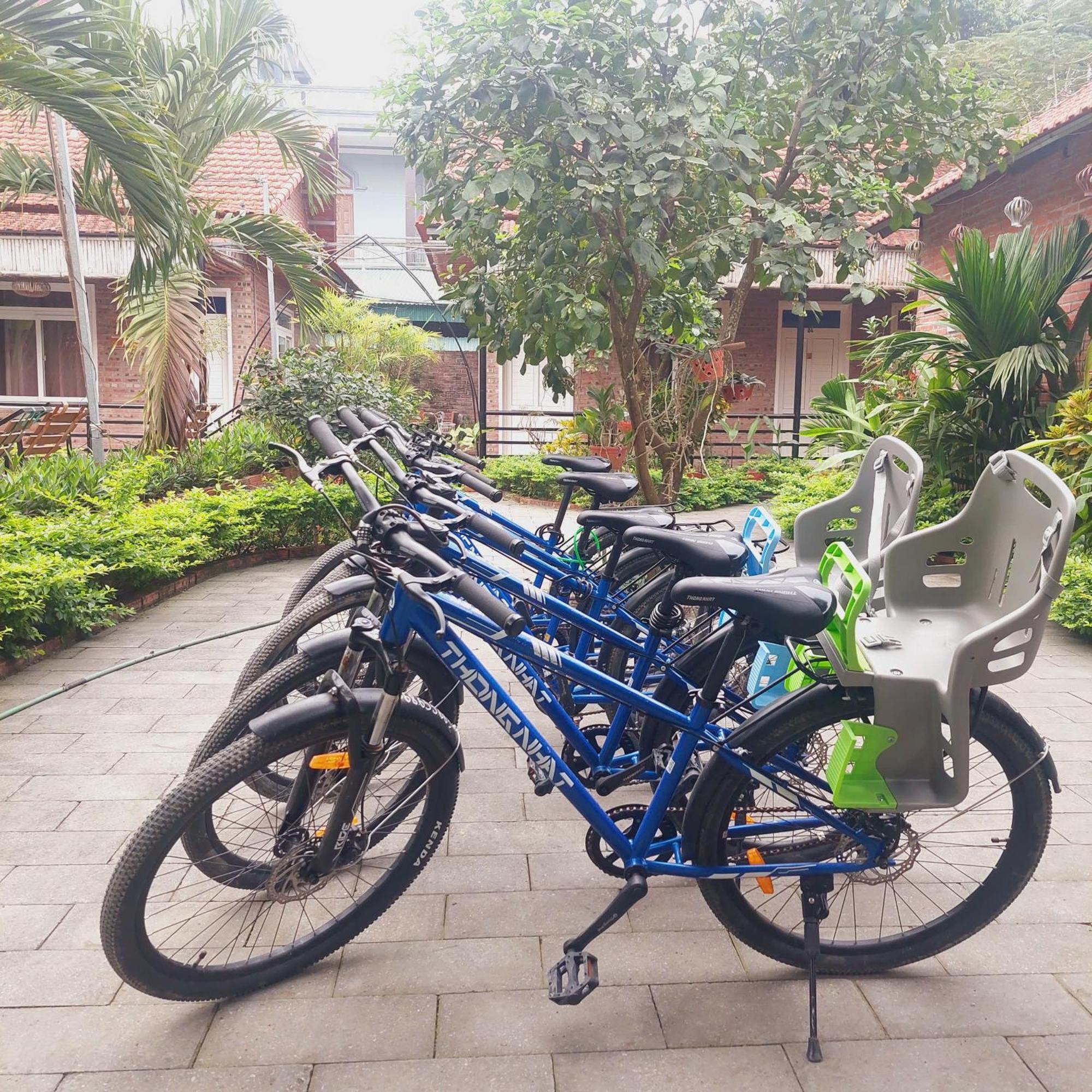 Ninh Binh Mountain Side Homestay & Cafe Eksteriør billede
