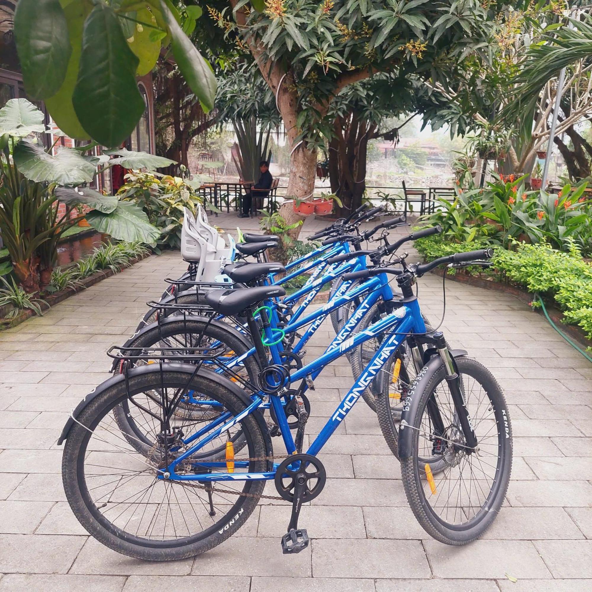 Ninh Binh Mountain Side Homestay & Cafe Eksteriør billede